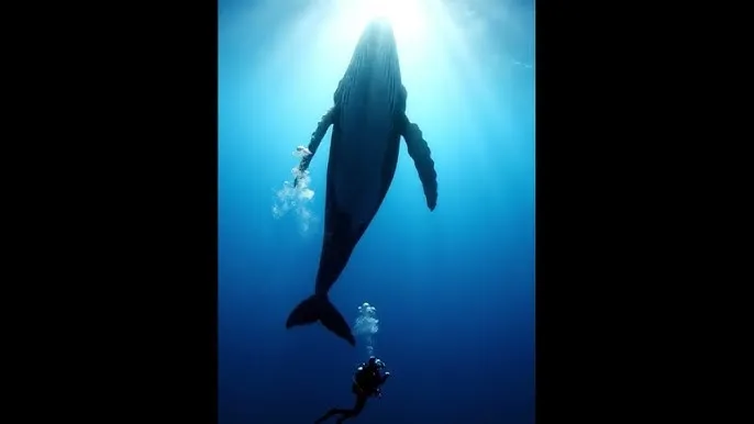 终极保镖2 - 深蓝星球：探索海洋深处的未知世界